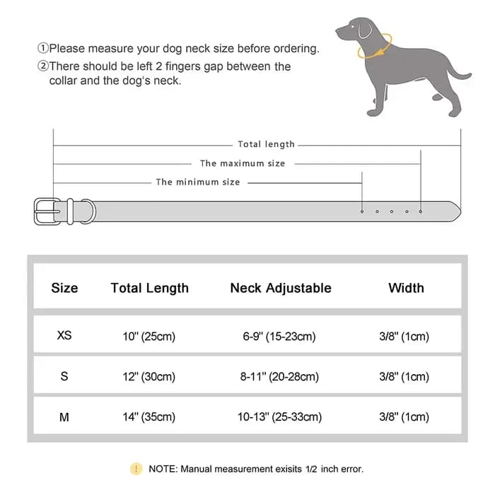 Collier d'identification Anti-perte pour chat, collier personnalisé pour chiot et chat, étiquette de