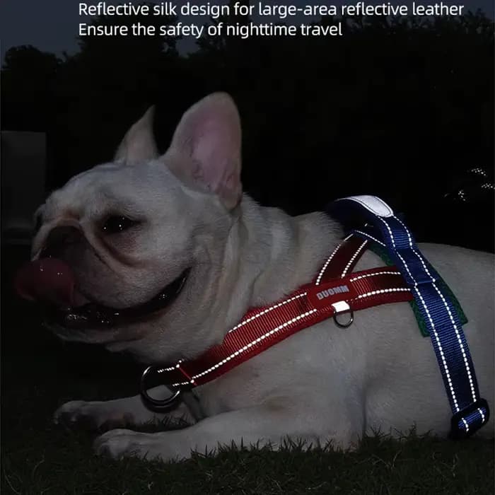 Harnais pour chiens, type selle, sangle de poitrine pour animaux de compagnie, pour petits, moyens e