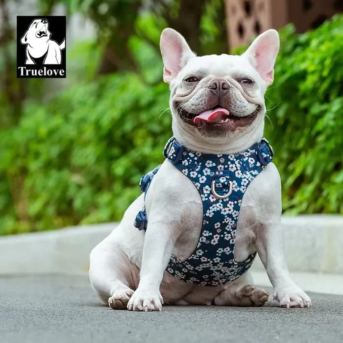Truelove harnais pour chien nouveau harnais de conception de mode pour petit grand chien coton Flora
