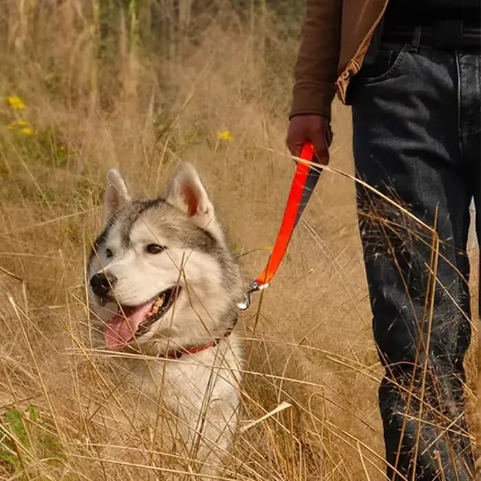 Laisse de printemps en cuir PU pour chiens, courte, pour grands chiens, corde en Nylon, Durable, rés