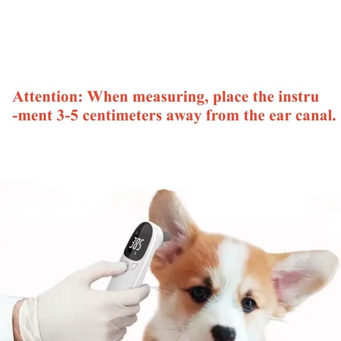 Thermomètre infrarouge pour animaux de compagnie, chien, chat, mesure médicale des animaux, électron