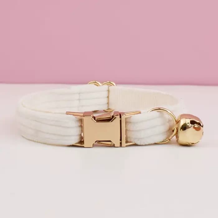 Collier collier de chat personnalisé colliers de chat personnalisés étiquette d'identification