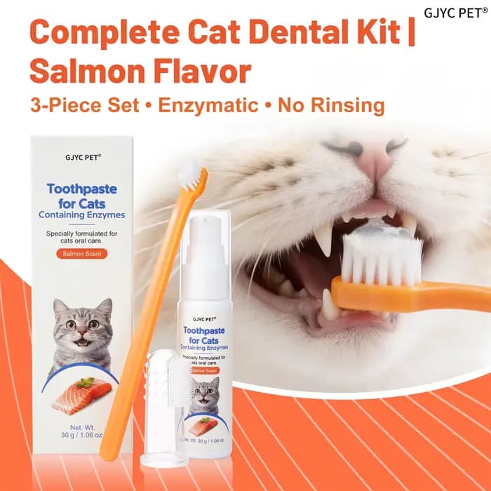 Gel dentaire enzymatique pour chat, saveur saumon, éliminateur de plaque et de tartre, soin buccal,
