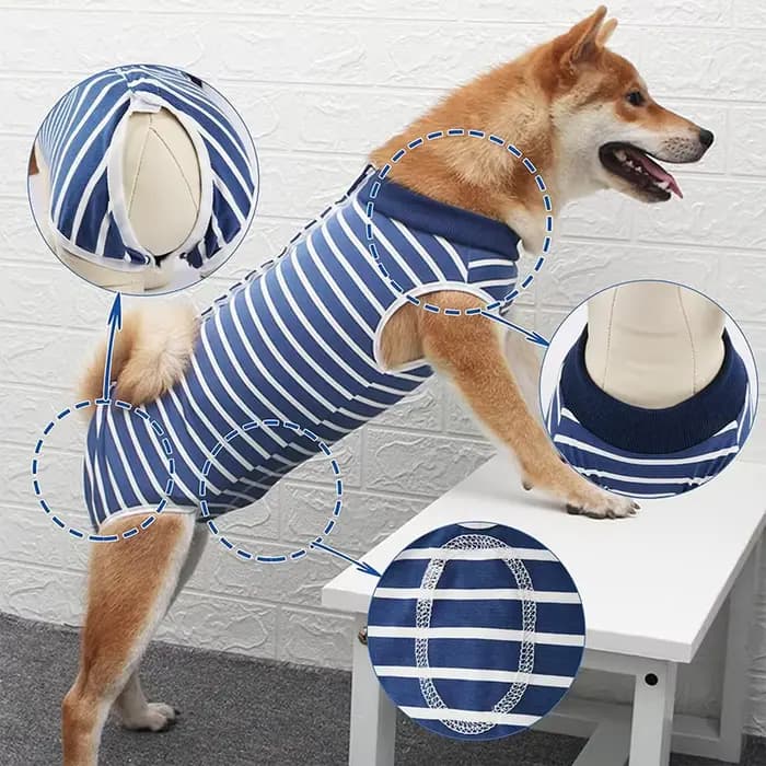 Combinaison de récupération pour chien, vêtements chirurgicaux pour plaies abdominales, Anti-léchage