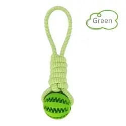 Boule de nettoyage des dents d'animaux domestiques, à mâcher, friandises IQ, distribution de nourrit
