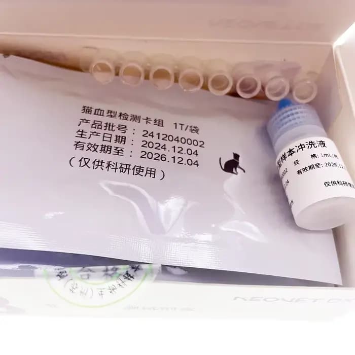 Kit de typage sanguin félin pour animaux de compagnie, carte de test de raid de poulet, fournitures