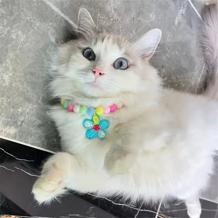 Collier de Perles en Forme de Cœur pour Chien et Chat, Bijou à la Mode, Réglable, Accessoires de Déc
