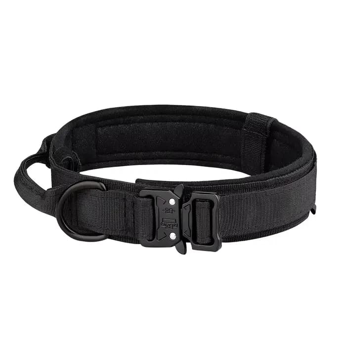 Produits pour animaux de compagnie collier tactique pour chien en plein air boucle en métal respiran