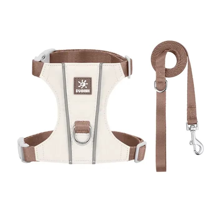 Harnais anti-évasion pour chat, gilet anti-traction doux et respirant avec laisse pour petits chats/