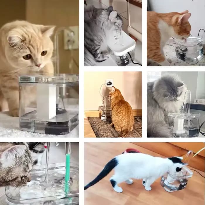 Fontaine d'eau pour chat, filtre automatique, abreuvoir Transparent pour chat, USB, électrique, sile