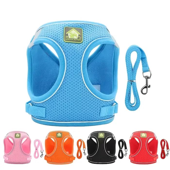 Ensemble de coulée SFP et laisse pour chien et chat, sans côtes, maille respirante