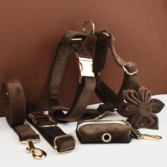 Ensemble collier et laisse pour chien en velours marron foncé, plaque nominative gravée sur mesure,