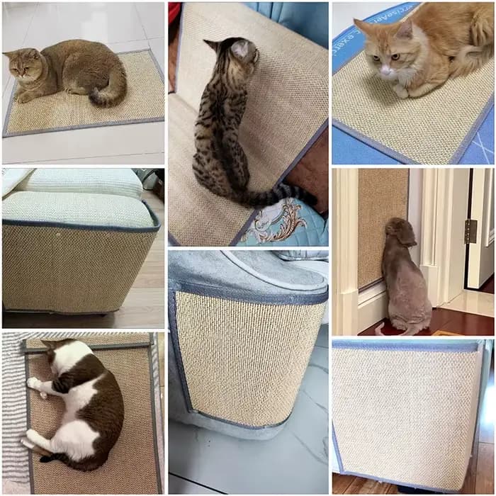 Tapis mural en bambou solide pour chat, Protection du canapé, planche à gratter pour chat, pattes de