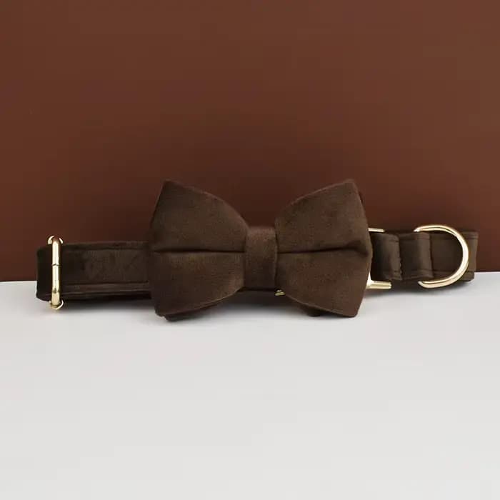 Ensemble collier et laisse pour chien en velours marron foncé, plaque nominative gravée sur mesure,