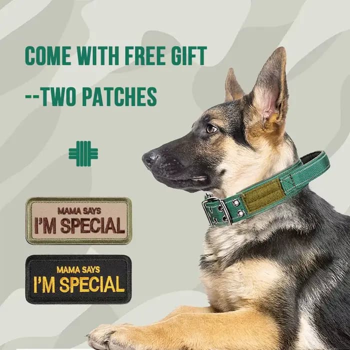 Collier pour chien tactique robuste à Double boucle, collier pour chien de qualité militaire avec po