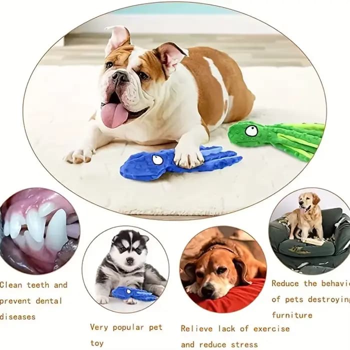 Coquille de poulpe vocale pour chien et chat, jouets en peluche pour le nettoyage des dents, jouets