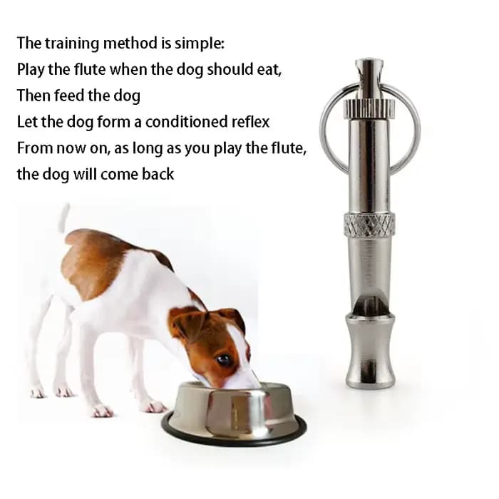 Sifflet pour chien en acier inoxydable, pour arrêter d'aboyer, contrôle des aboiements, entraînement