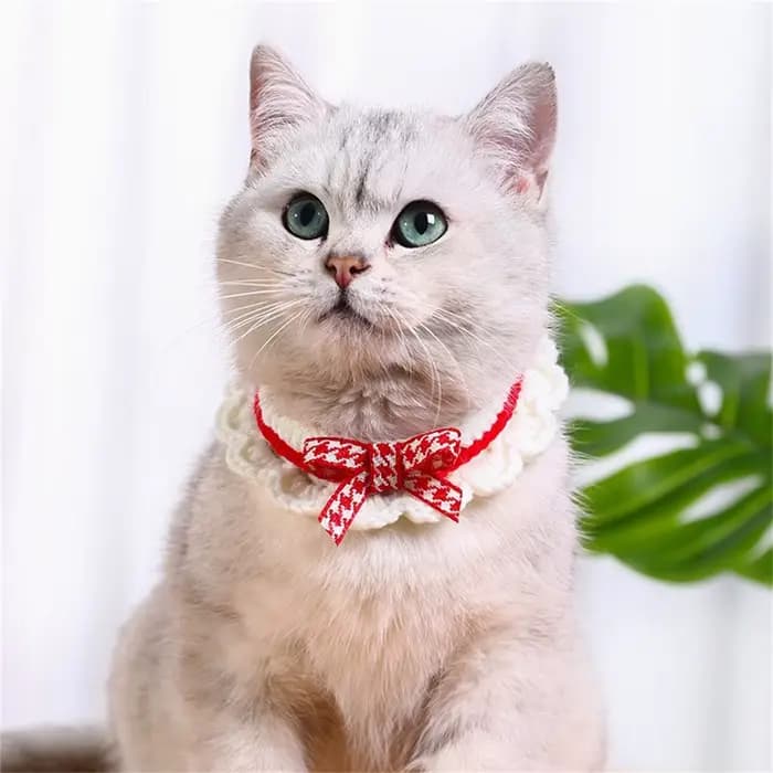 Serviette de salive pour chat, mignonne, tricotée à la main, réglable, pour chaton, chiot, collier à