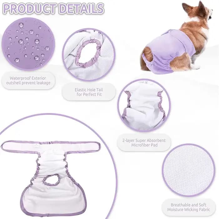 Couches réutilisables pour chiens féminins, couches à haute absorption pour chiots, culottes réglabl