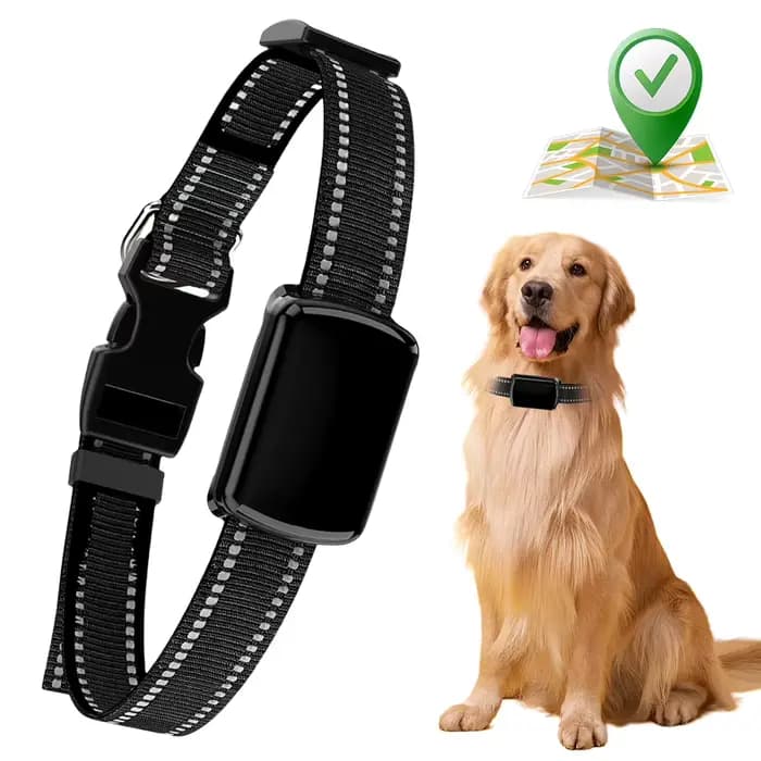 Localisateur de chat avec collier réglable, localisateur intelligent pour animaux de compagnie, trac