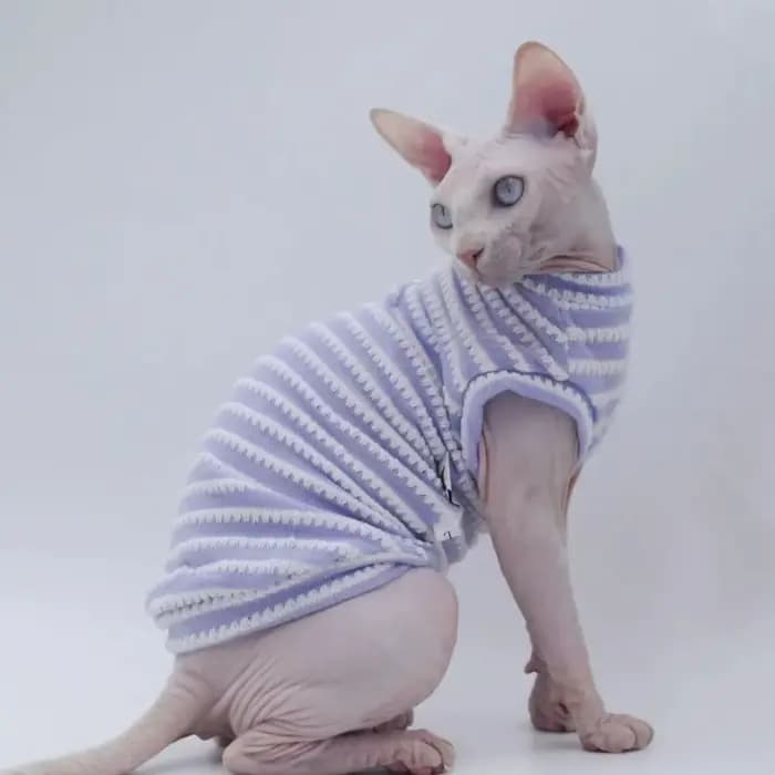 Chemise à fond rayé pour chat Sphinx, vêtements d'été mignons, vêtements respirants pour animaux de