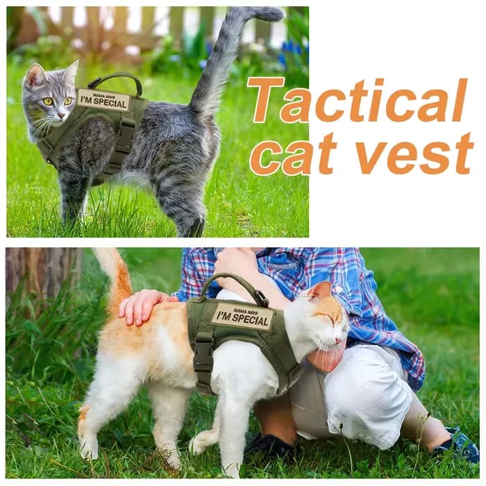 Harnais en Nylon pour chat, gilet avec 2 autocollants, harnais tactique militaire pour chats avec po