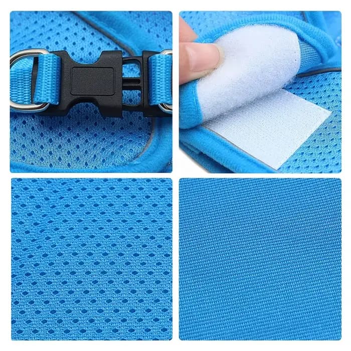 Ensemble de coulée SFP et laisse pour chien et chat, sans côtes, maille respirante