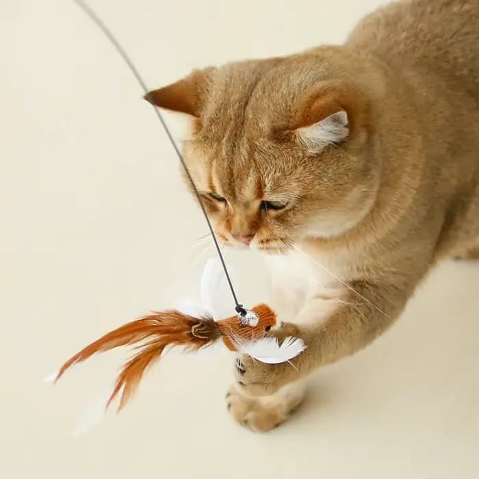 Baguette mains libres pour chat oiseau/plumes, avec cloche, ventouse puissante, jouets interactifs p