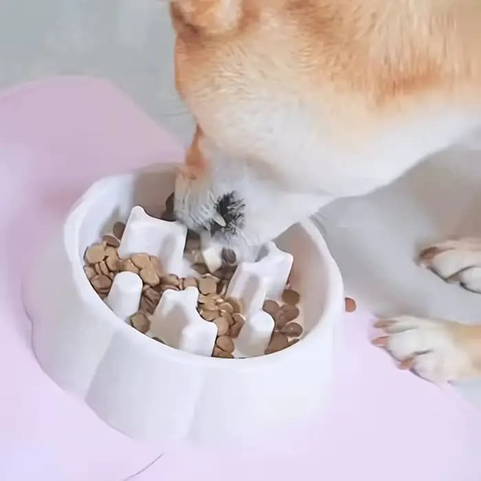 Bol carré d'alimentation lente pour animaux de compagnie, Anti-étouffement, Puzzle pour chien, bol d