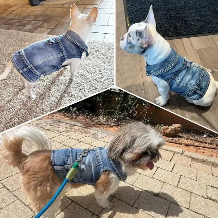 Dog Denim Jacket Dark Wash Sleeveless Towable Jeans Vest Coat for Small Medium Dogs Cat Spring Autum