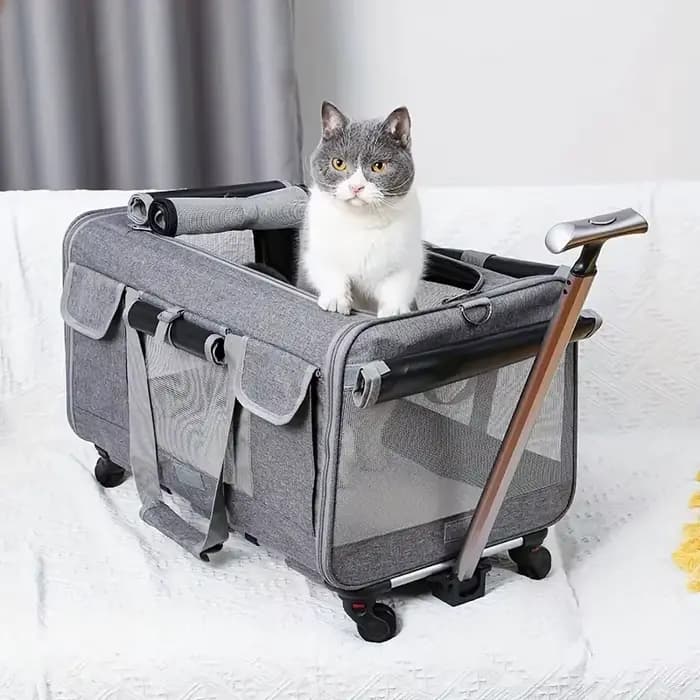 Valise de chariot portative Extra Large pour animaux de compagnie, boîtier de chariot détachable pou