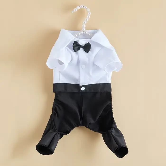 Costume occidental pour hommes pour chats, vêtements formels pour chats, Festival, mariage, Costumes