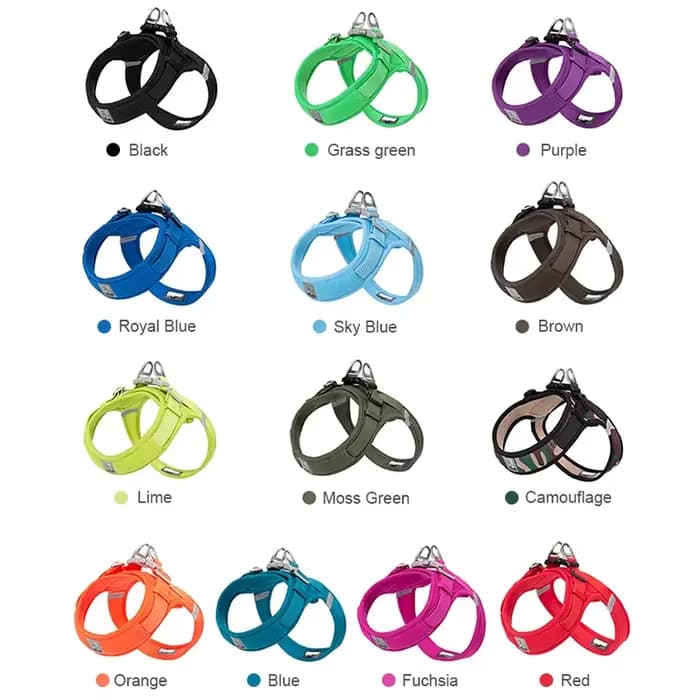 Truelove harnais pour animaux de compagnie pour chiens de petite et moyenne taille maille en Nylon r