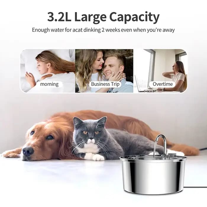 Distributeur d'eau pour animaux de compagnie en acier inoxydable, fontaine d'eau automatique pour ch