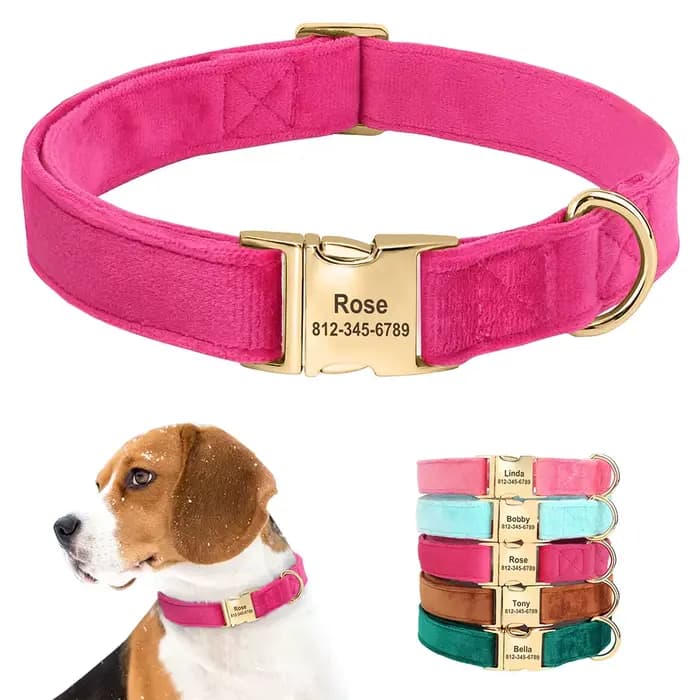 Collier de chien en velours personnalisé, Super doux, avec boucle d'identification, nom gravé, colli