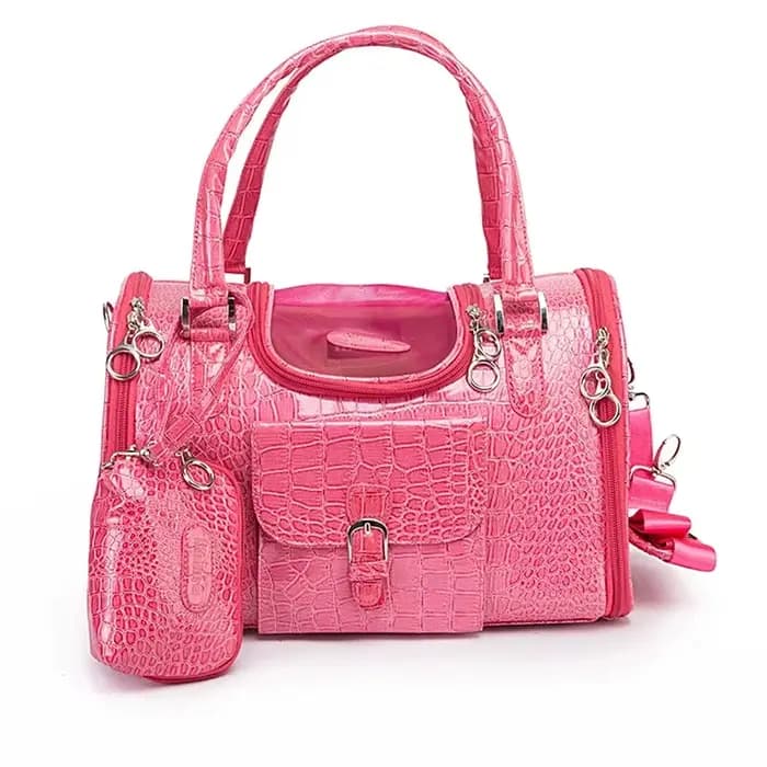 Sac de transport Portable pour animaux de compagnie, chat, chien, avec sac à main, voyage en cuir, p