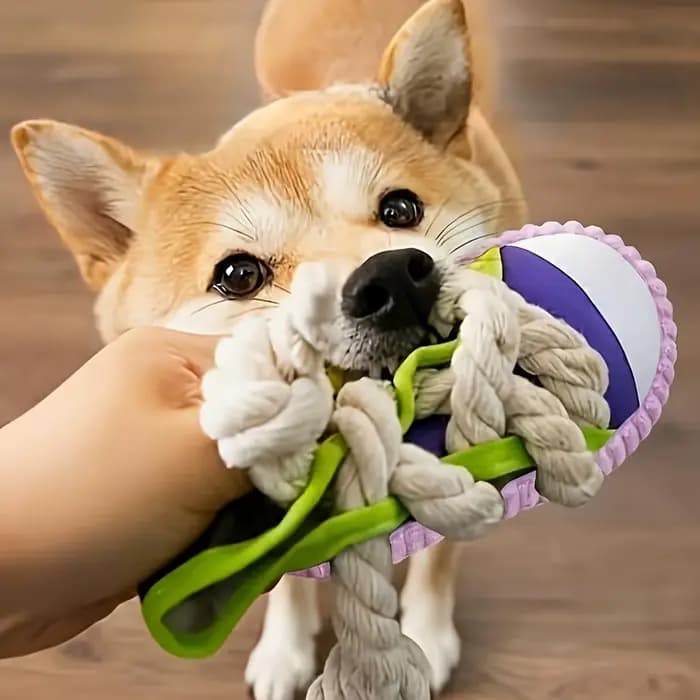 Jouet pour chien en toile avec nœud en corde, jouet interactif à mâcher, jouet d'entraînement pour c