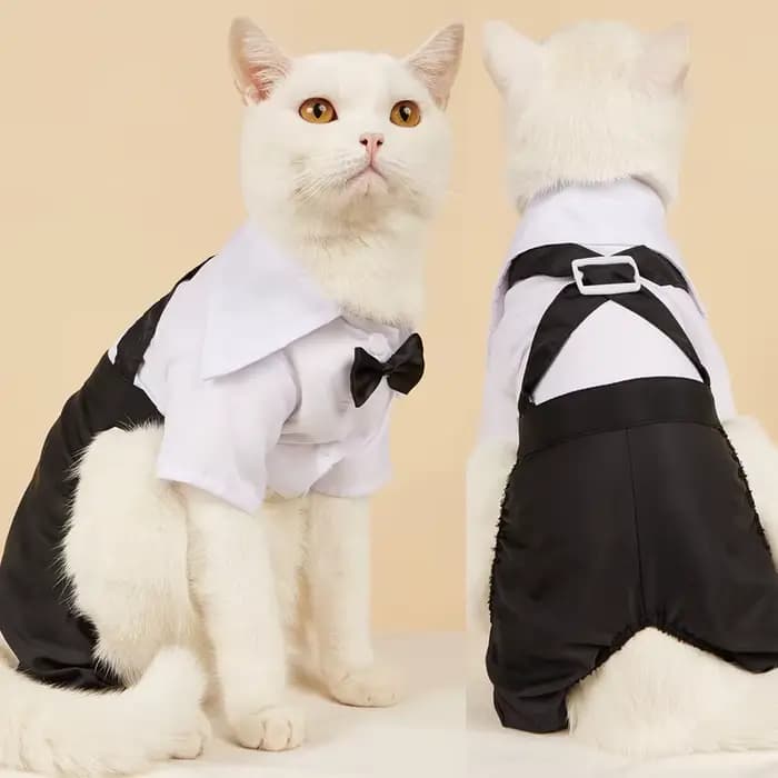 Costume occidental pour hommes pour chats, vêtements formels pour chats, Festival, mariage, Costumes
