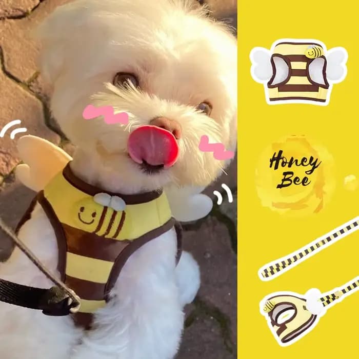 Mignon abeille chaton chiot chiens harnais et laisse ensemble doux respirant chiens gilet harnais la