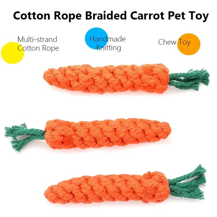 Jouets à mâcher pour petits chiens, jouets pour chiens de compagnie, livres, dents, chiot, carotte,