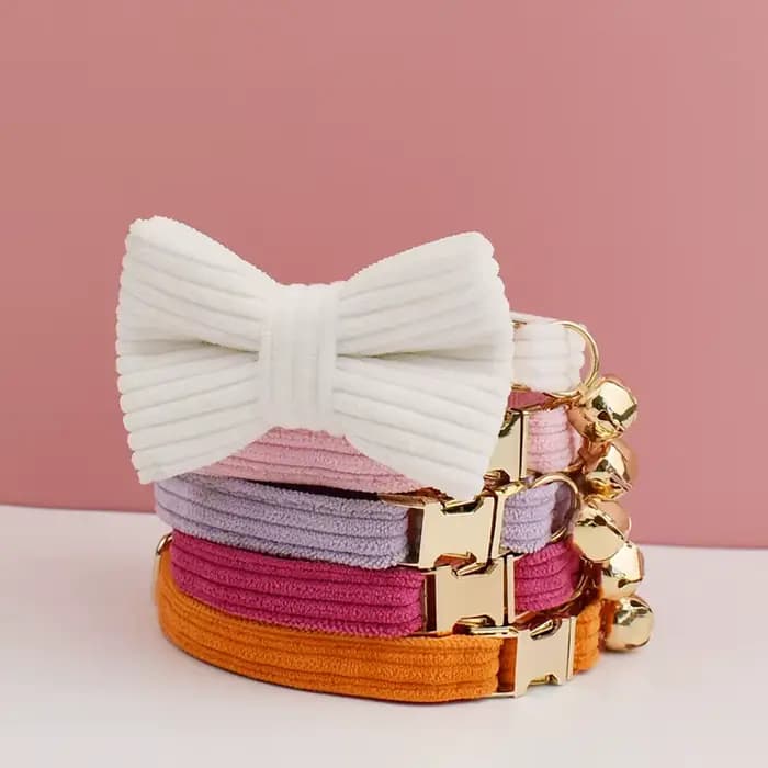 Collier collier de chat personnalisé colliers de chat personnalisés étiquette d'identification