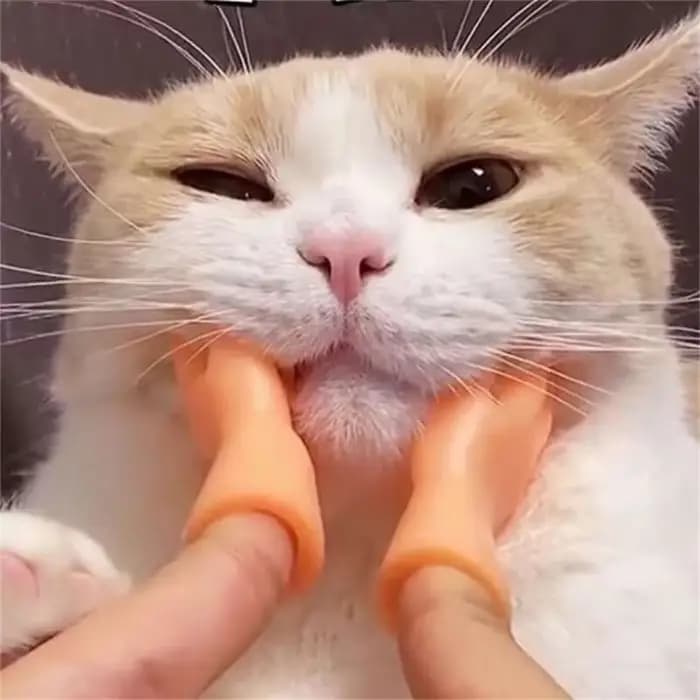 Gants en silicone pour chat, mini modèle de mains minuscules, outil de massage drôle, petit doigt, j