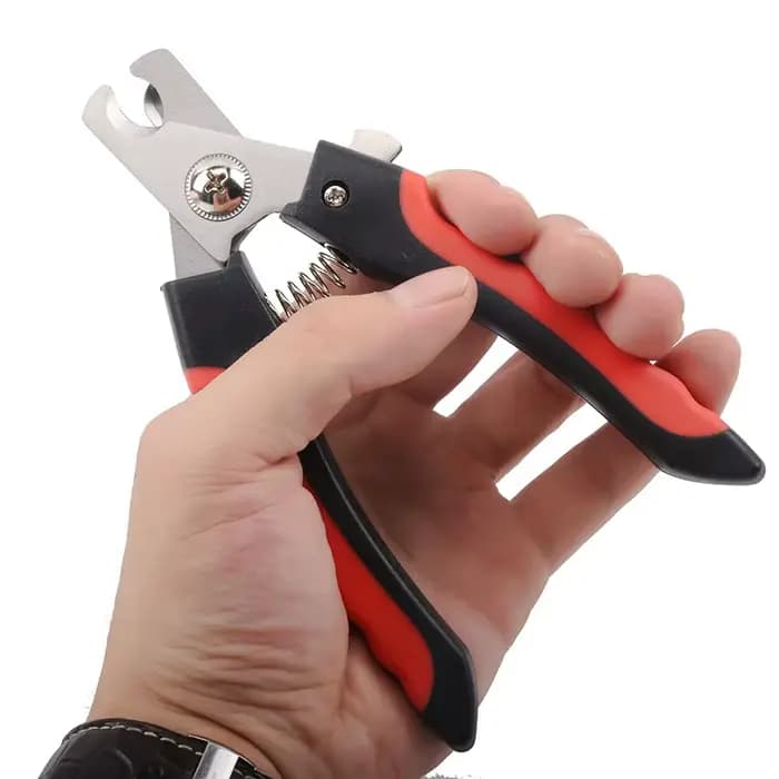 Coupe-ongles pour animaux de compagnie, en acier inoxydable, pour chien et chat, ciseaux pour chien,