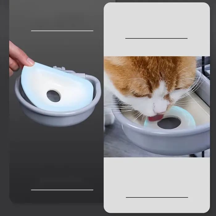 Distributeur automatique d'eau pour animaux de compagnie, bol pour chiot, chat, lapin, chien, produi