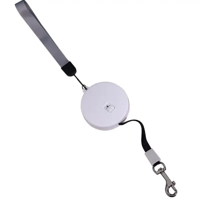 Laisse rétractable automatique pour petit et moyen chien, produit pour animaux de compagnie, flexibl