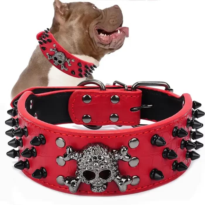 Collier de chien en cuir clouté à pointes de crâne pour chiens de taille moyenne et grande bouledogu