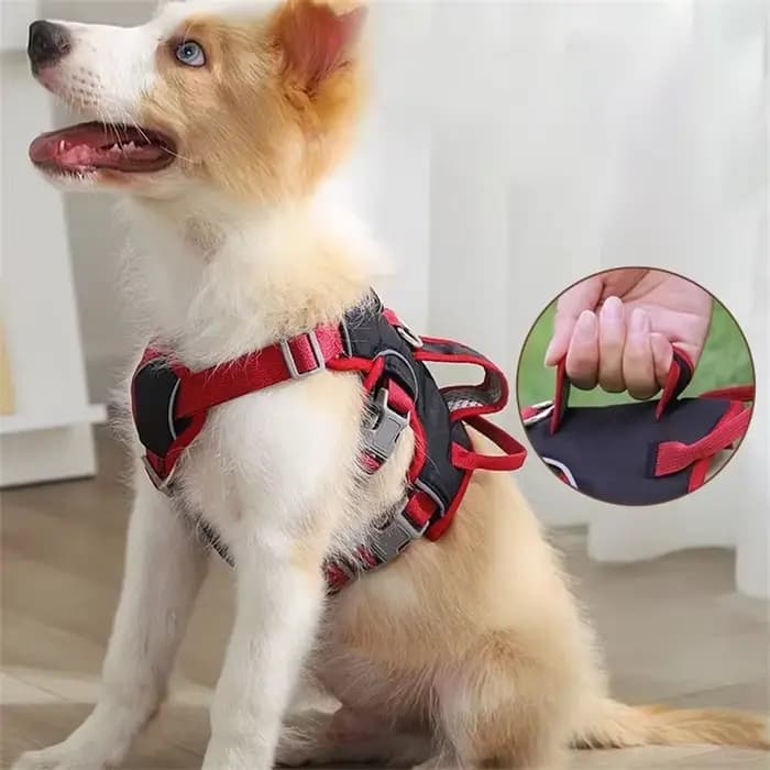 Harnais de gilet pour chien de compagnie Durable, antidéflagrant, pour grands chiens, collier réfléc