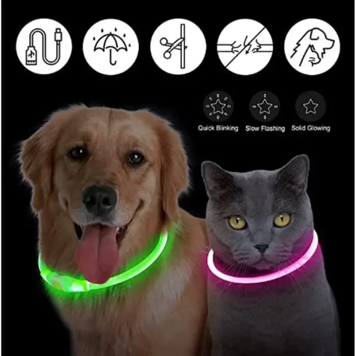 Collier de chien lumineux Led, collier de chargement USB, clignotant, bricolage, sécurité lumineuse,