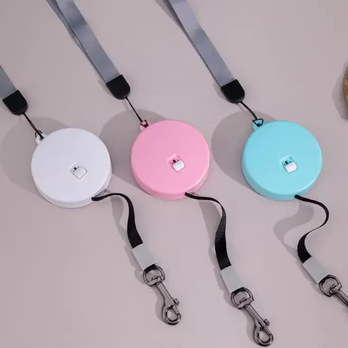 Laisse rétractable automatique pour petit et moyen chien, produit pour animaux de compagnie, flexibl