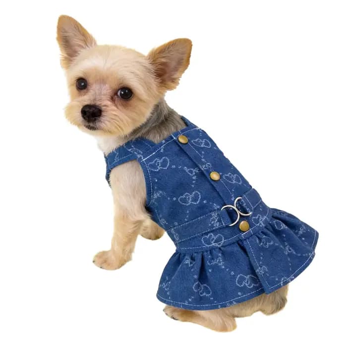 Petits chiens vêtements concepteur de luxe chiot vêtements d'été filles chat robes, amour jean harna